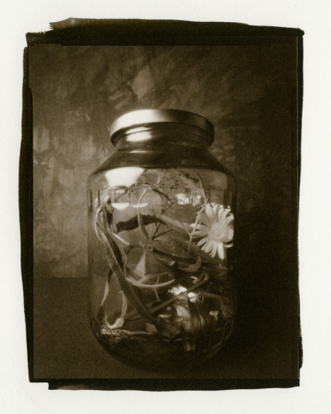 Message in a Bottle