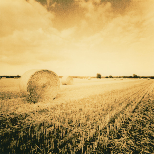 In the Field