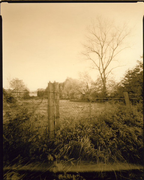 Old Fence